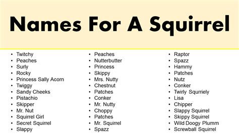 Funny Names For A Squirrel – Squirrel Names - GrammarVocab