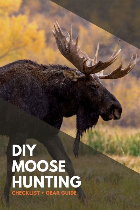 DIY Moose Hunting Gear Guide Checklist | Rangefinder Now | Moose hunting, Hunting gear, Moose