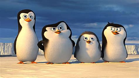 HD wallpaper: penguins of madagascar | Wallpaper Flare