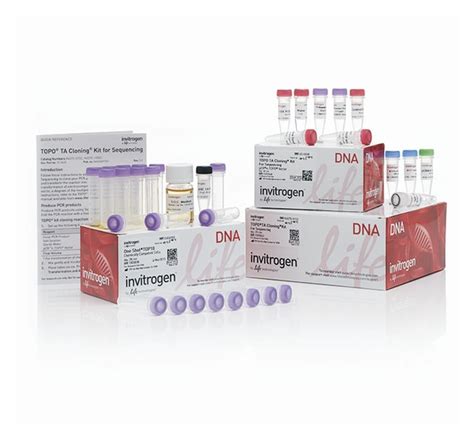 Invitrogen™ TOPO™ TA Cloning™ Kit for Sequencing, with One Shot™ TOP10 Chemically Competent E ...