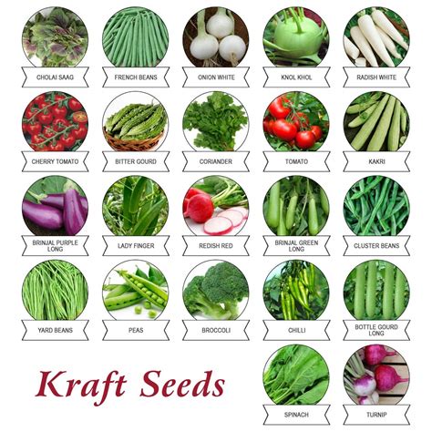 Kraft Seeds Vegetable Seeds Indian Exotic, Heirloom (Pack of 22) - Buy Online in UAE. | Garden ...