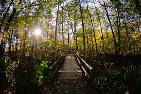 Take A Winter Hike On The Madison County Nature Trail On Green Mountain