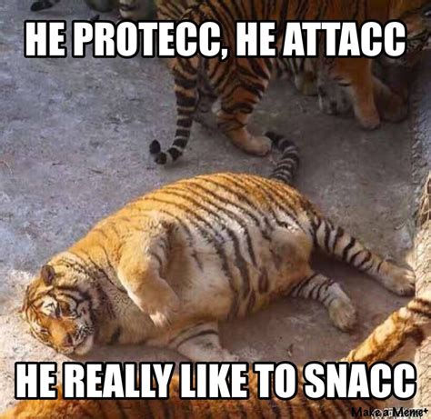 fat tiger - Meme by scanny8537 :) Memedroid