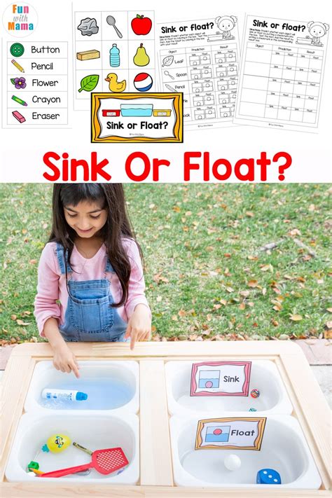 Sink Or Float Worksheet - Zipworksheet.com