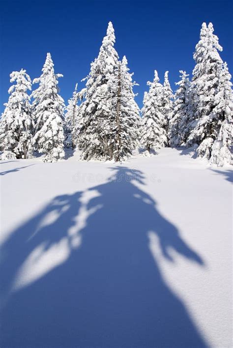 Wintry landscape scenery stock photo. Image of blue, beautiful - 22304992