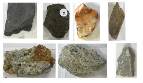 Sedimentary Rocks Identification Diagram | Quizlet