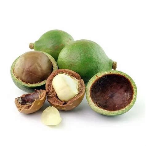 100% Pure Calophyllum Inophyllum. Tamanu Seed Carrier Oil, For Aromatherapy at Rs 1250/kg in New ...