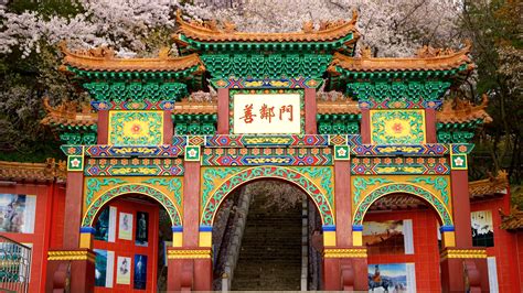 Visit Incheon Chinatown: Best of Incheon Chinatown, Incheon Travel 2023 | Expedia Tourism