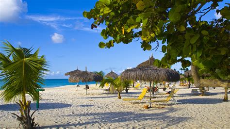 Eagle Beach | | Attractions - Lonely Planet