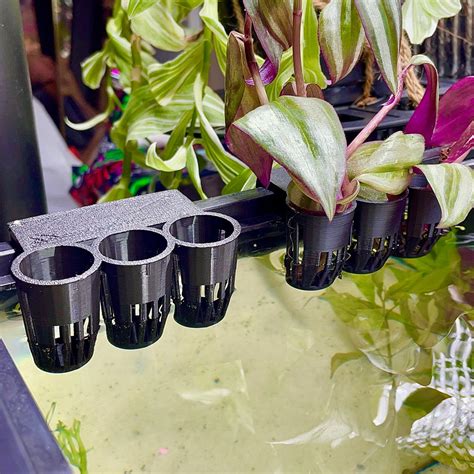 Aquaponics Aquarium Plant Holder Great for Pothos Wondering | Etsy