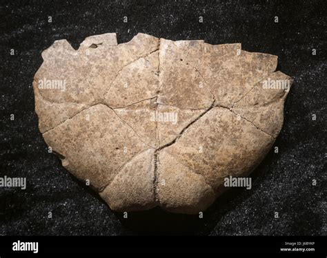 Shang oracle bones hi-res stock photography and images - Alamy