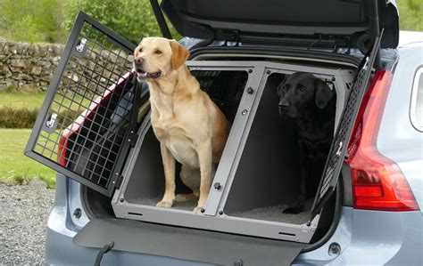 Safest Dog Crates For Car Travel | vozmia.com