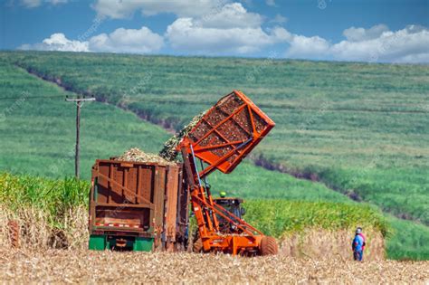 Premium Photo | Machine harvesting sugar cane plantation.