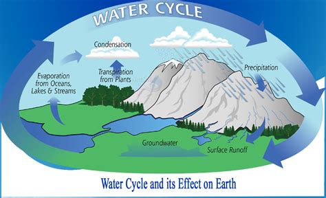 What is Water Cycle and What its Effect on Earth - Netsol Water