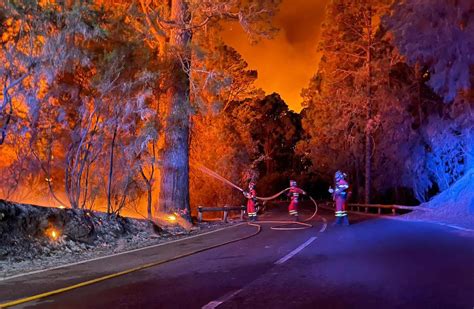 Wildfire spreads on Spain's Tenerife, forcing thousands from homes - World - Chinadaily.com.cn