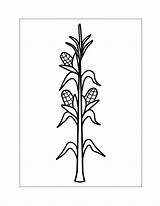 Corn Coloring Pages – Printable FREE sketch template