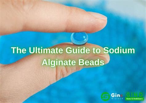 The Ultimate Guide to Sodium Alginate Beads - Gino Gums