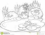 From The Pond Coloring Pages Coloring Pages sketch template