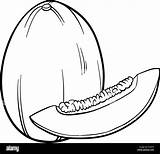 Melon Coloring Page Pages sketch template
