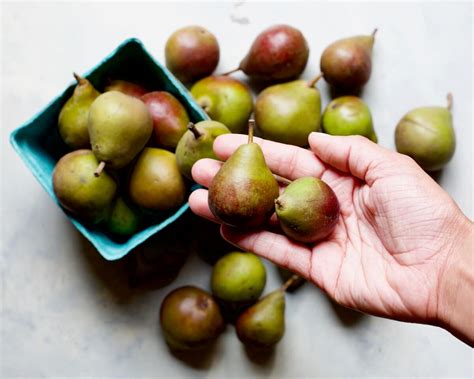 Plant-Based Monday: Seckel Pears - Food Heaven Made Easy