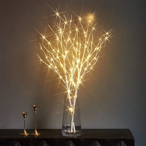 Outdoor Lighted Tree Branches at rogermsaid blog