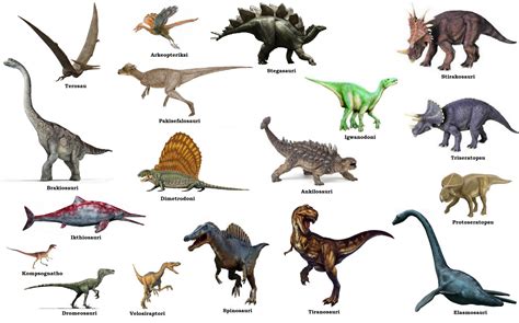 Swahili Land: Dinosau (Dinosaurs)