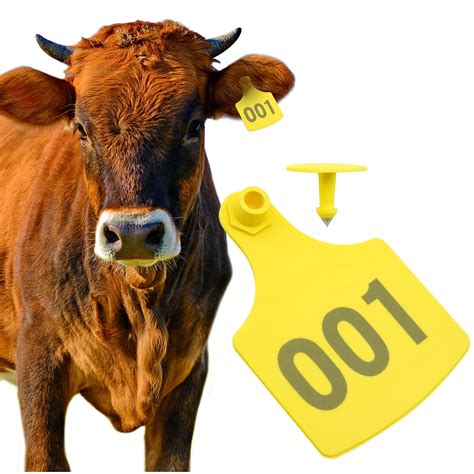 Buy LIUCOGXI Cattle Ear Tags,100PCS Numbered Plastic Livestock Ear Tags ...