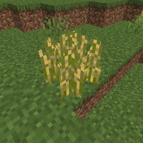 Realistic Wheat - Minecraft Mods - CurseForge