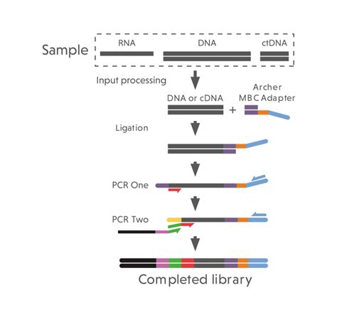 Comprehensive Genomic Profiling