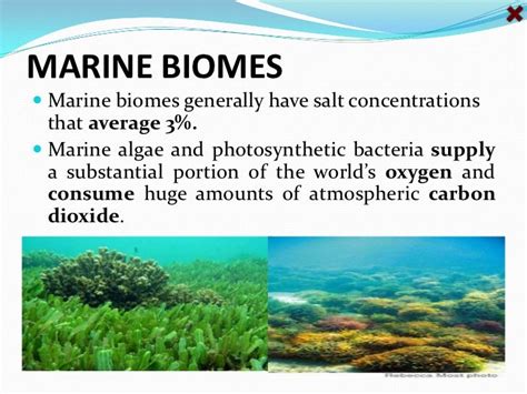 Marine biomes