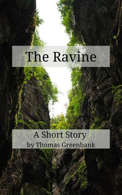 The Ravine - Rogue Animal Books