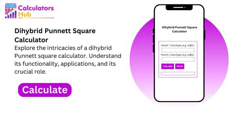 Dihybrid Punnett Square Calculator Online