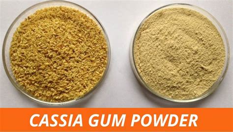 Cassia Gum Powder - Substitute of Locust Bean Gum