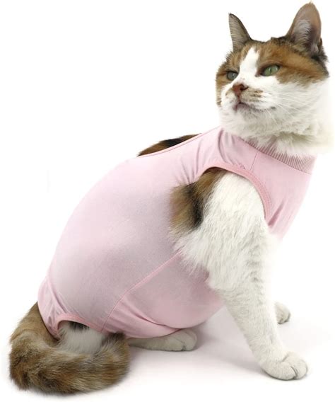 Amazon.com : QIYADIN Cat Recovery Suit, Cat Surgical Recovery Suit for ...