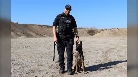 Newest police dogs welcomed into London Police Service | CTV News