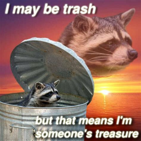 Nocturnal-Trash-Posts-Raccoon-Memes-Instagram | Animal memes, Raccoon ...