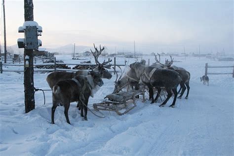 The Lonely and Coldest Inhabited Place On Earth-Oymyakon Russia ...