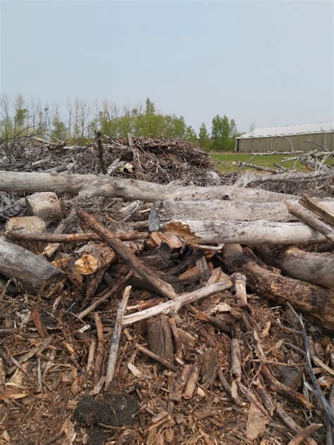 Free Firewood & other Wood Sizes | Free Stuff | Winnipeg | Kijiji