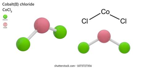 Cobaltii Chloride Formula Cocl2 Which One Stock Illustration 1073727356 ...