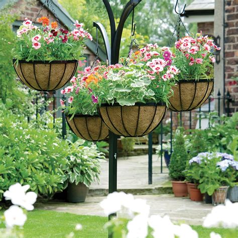 Hanging Flower Baskets: The Only Guide You'll Need