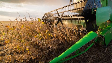 Soybean Harvest Moving at Rapid Pace - Mid-West Farm Report