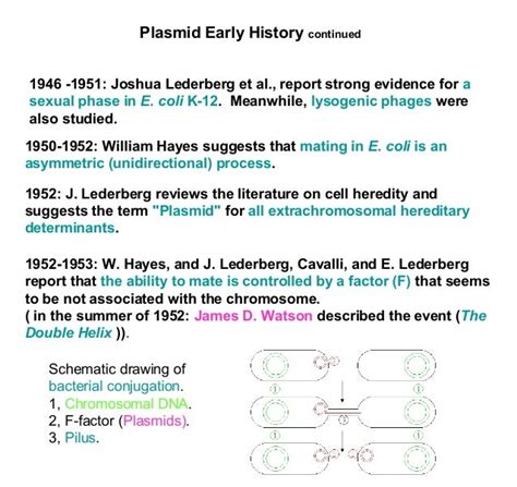 Plasmid isolation