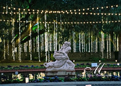 Brookgreen Gardens Christmas - Martha Peoples Photography