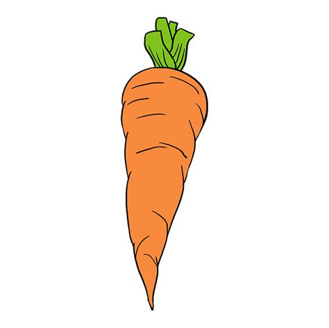 How to Draw a Carrot - Really Easy Drawing Tutorial