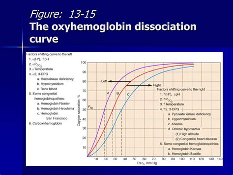 PPT - Cardiovascular Anatomy & Physiology PowerPoint Presentation - ID:2355586