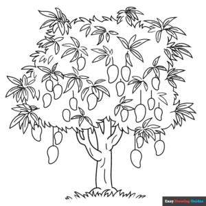 Mango Tree Coloring Page | Easy Drawing Guides