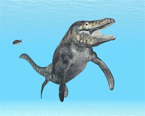 Check Out The Tylosaurus, A Marine Reptile | Dino Digest