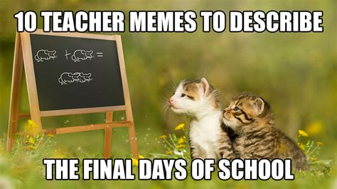 10 Teacher Memes to Describe the Final Days of School | Teaching Channel