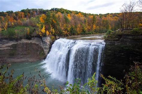 Vibrant Letchworth State Park Fall Foliage | Letchworth Fall Guide - Come Join My Journey