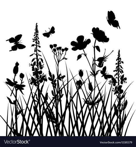 Silhouettes of flowers and grass with Royalty Free Vector